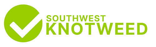 Southwest Knotweed